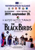 Black Birds plakát
